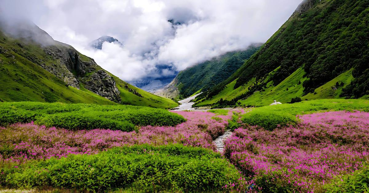 Valley Of Flowers Trek - Photo 2